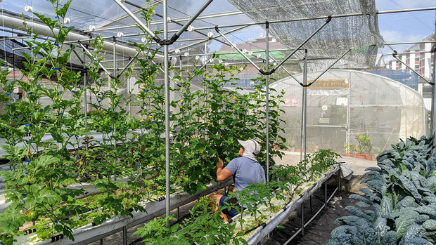 پروژه های گلخانه شرکت اوا سپهر پایا